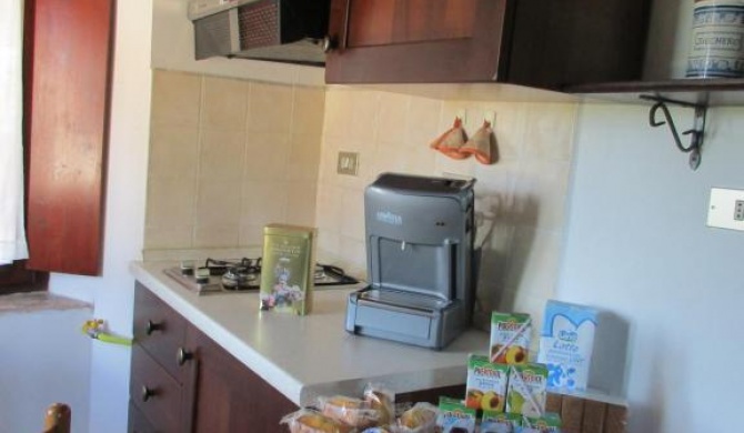 B&B Carboni