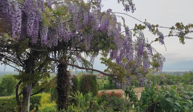 Casa Rosanna