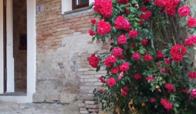 La casetta di Sofi