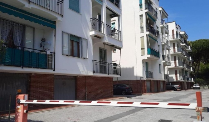 Bilocale situato a 200metri dal mare con terrazza