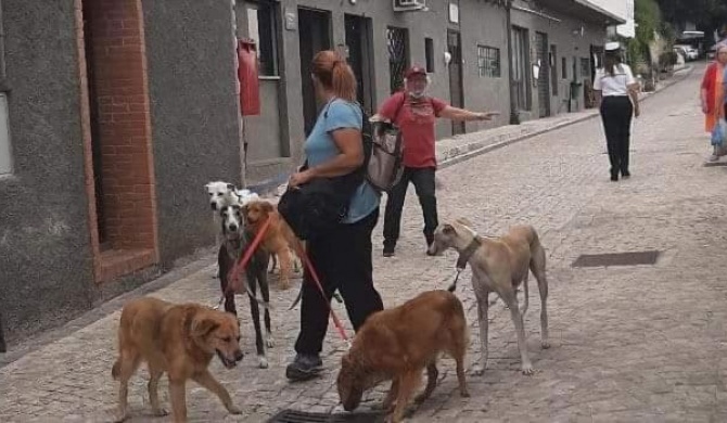 LA CASETTA DI ALE e del dog trekking