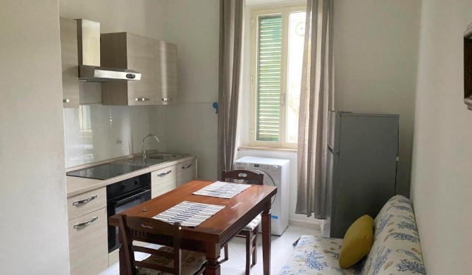 Coton Apartment