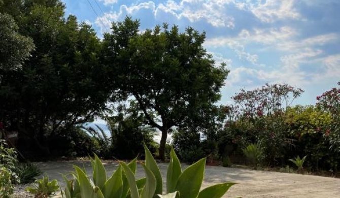 Casa vacanze Piedigrotta