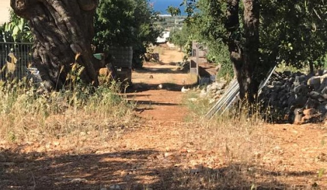Mareincielo Monte Polisella