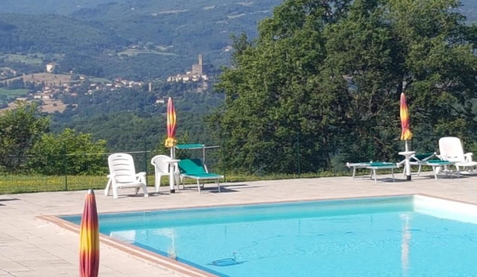 Fattoria di Belvedere