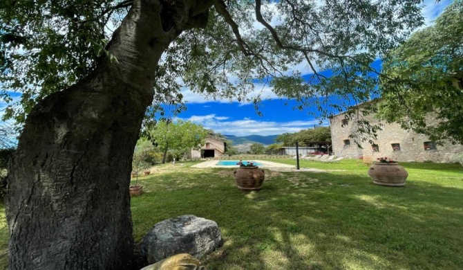 Exclusive Pool-open All Year-spoleto Biofarm-slps 8-village shops, bar1 km 6